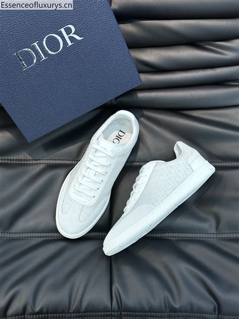 dior sneakers b101